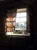 Nice Curtains.jpg