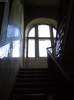 The Window Daylight.jpg