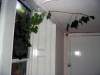 Basement - Larder Nature Finds a Way.jpg