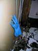 Hand Of Doom.jpg