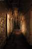 Cellar Corridor.jpg