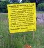 Polite Sign.jpg