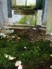 Grass Floor1.jpg