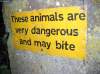 Dangerous Animals.jpg