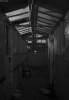 Along_The_Corridor.jpg