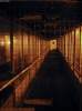 The_WalkWay.jpg