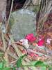 Dead Cat Grave.jpg