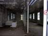The Wards - Damp.jpg