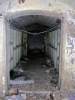 Spider Tunnell.jpg