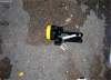 Dead Torch.jpg