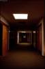 The_Corridor.jpg