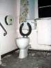 RedBrae - Pelican Toilet.jpg