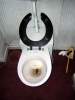 Obligatory Bog.jpg