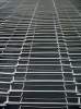 Egg Conveyor.jpg